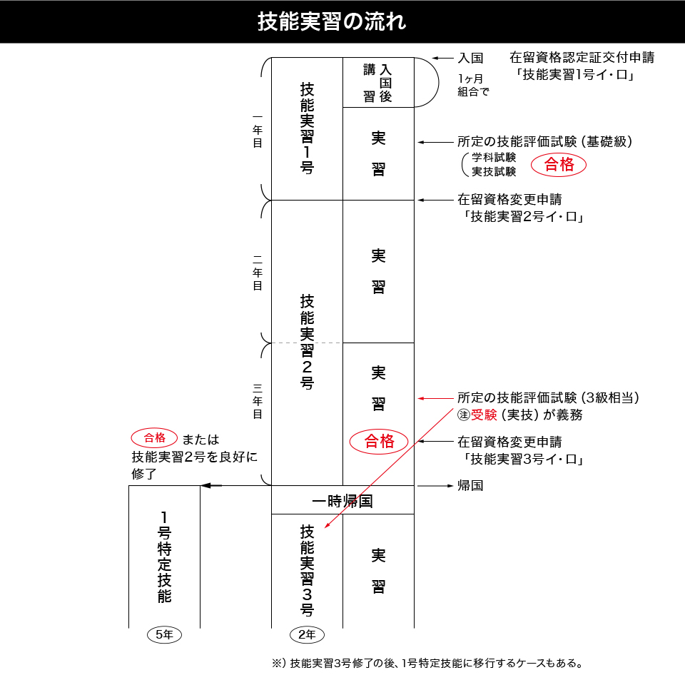 技能実習生の流れ